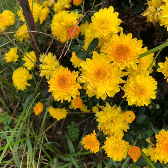 Meet your Posher, Casey - Picture 1 of 1